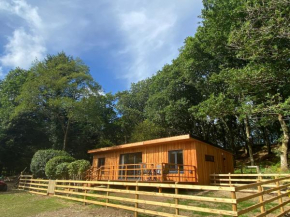 Blue Valley Cabin (Pant Glas)